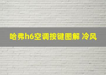 哈弗h6空调按键图解 冷风